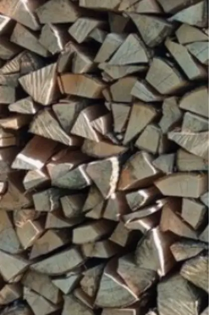 Brennholz Esche pro m