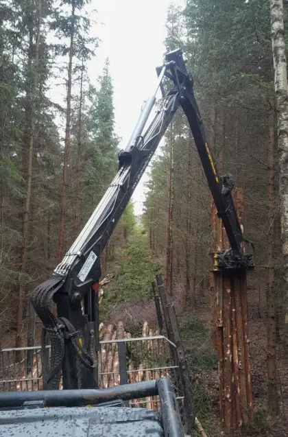 Faserholz