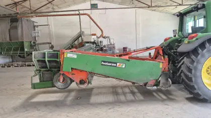 Holaras Zwiebelroder 150 cm