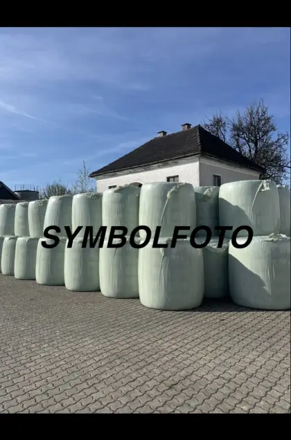 Maisballen Ernte 26