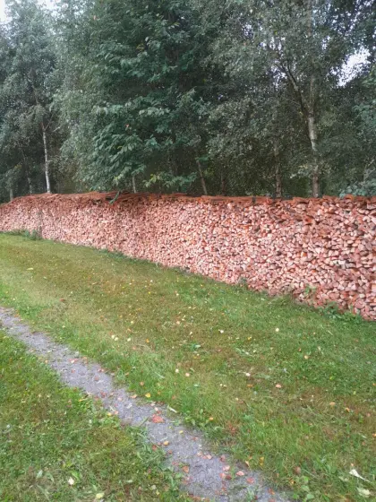 Brennholz