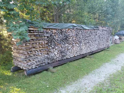 Brennholz Fichte