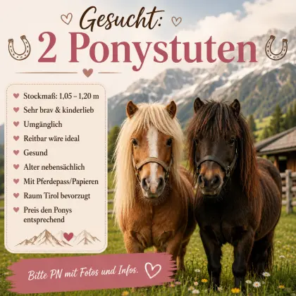Suche 2 Ponys