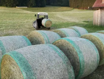 Heu für Rinder mit Kräutern und Gräsern