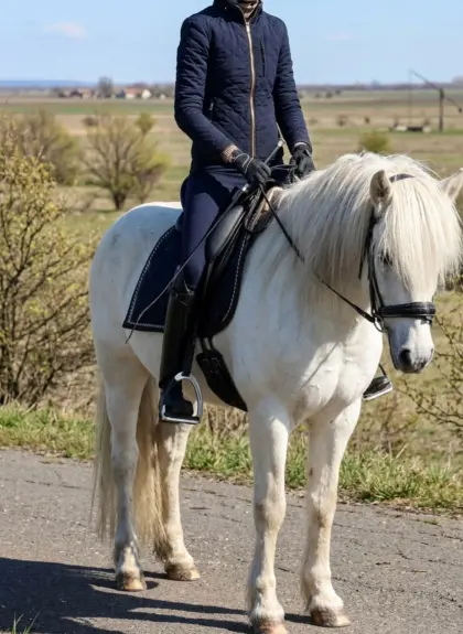 Pony-Wallach