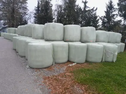 Suche Siloballen