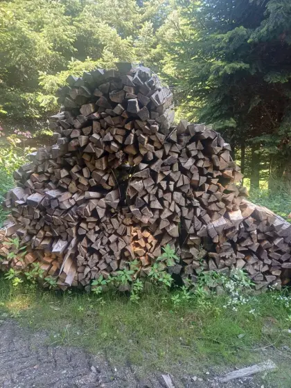 Buchenbrennholz