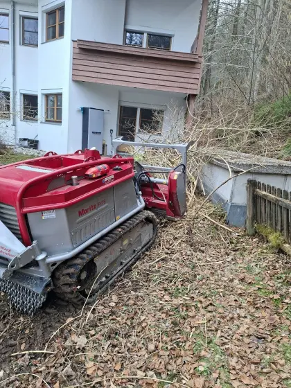 Mulch- und Fräsarbeit mit Forstraupe Moritz