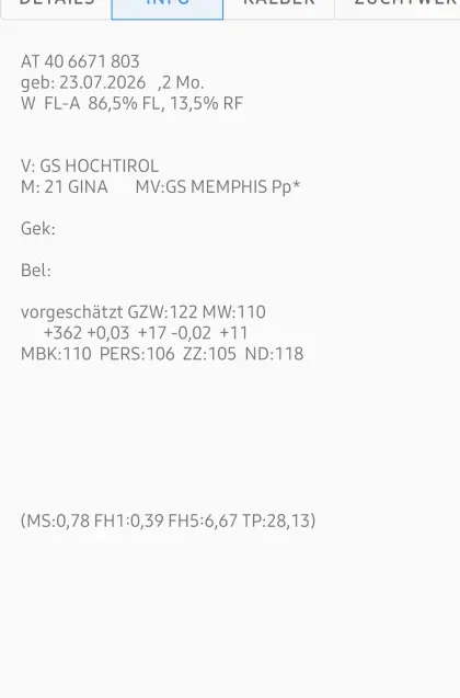 Verkaufe versch. Kalbinnen