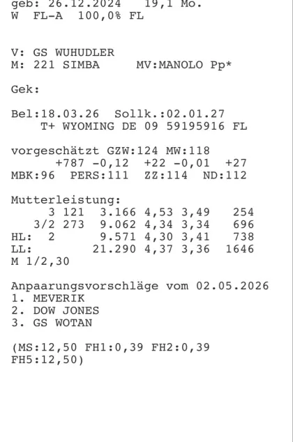 Habe 8 trächtige Kalbinnen abzugeben