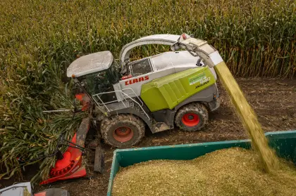 Futterreserve 2026, Maisballen ab Feld