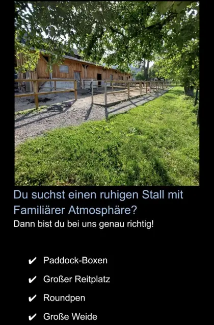 Paddock-Box frei.