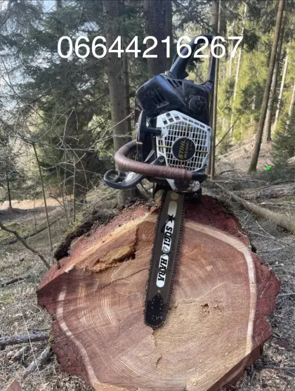 Holzschlägerung