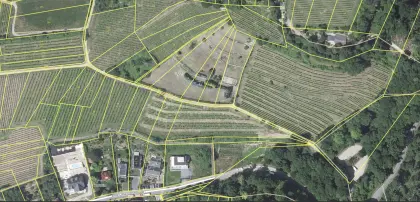 Weinberg zu verpachten ab 2027, 1,19 ha Steillage in Bensheim