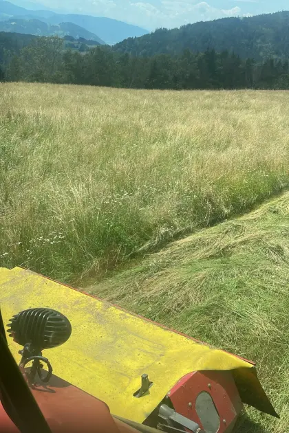 Suche Heu und Silageballen