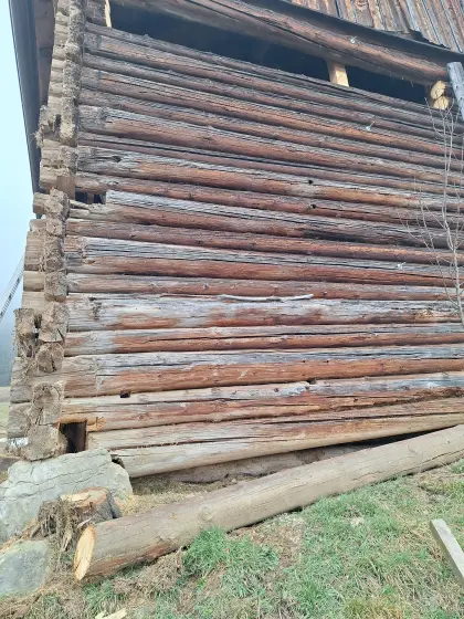 Altholz