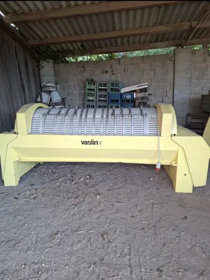 Vaslin Weinpresse
