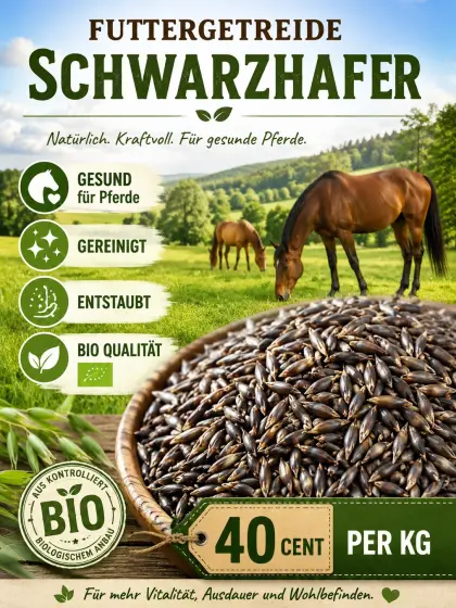 Bio Schwarzhafer