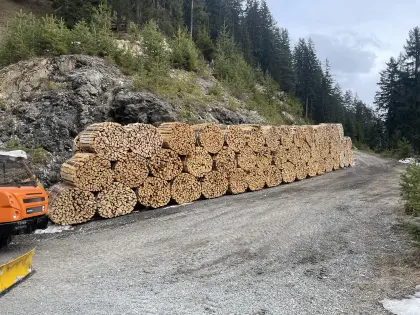 Brennholz