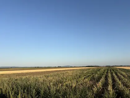 Ackerland