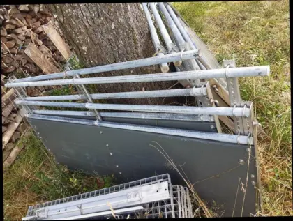 Aufstallung Mastschweine