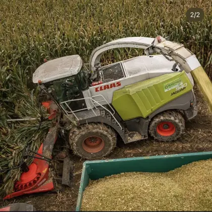 Maisballen ab Feld