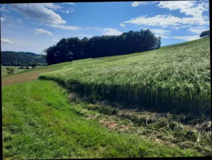 Pachtflächen