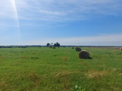 10 € - Heu-, Heulage-Rundballen 1,25 m
