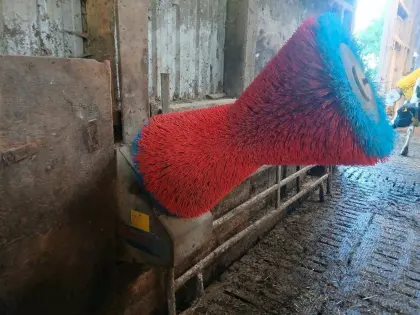 Kuhputzmaschine Kuhbürste HappyCow