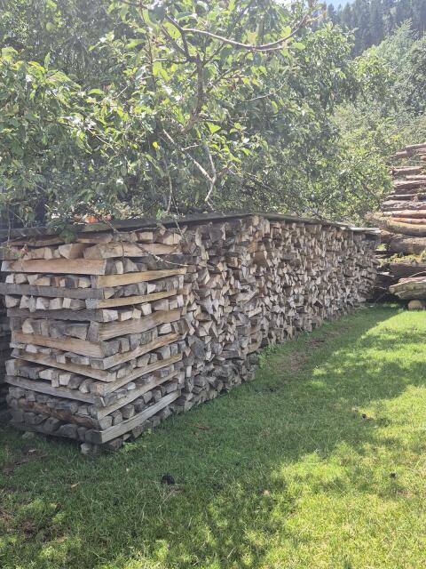 Buchenbrennholz