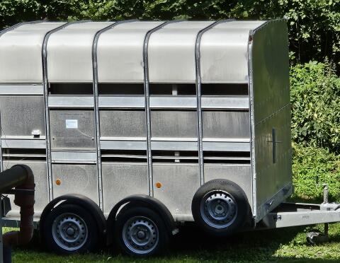 Ifor Williams Trailers Viehanhänger