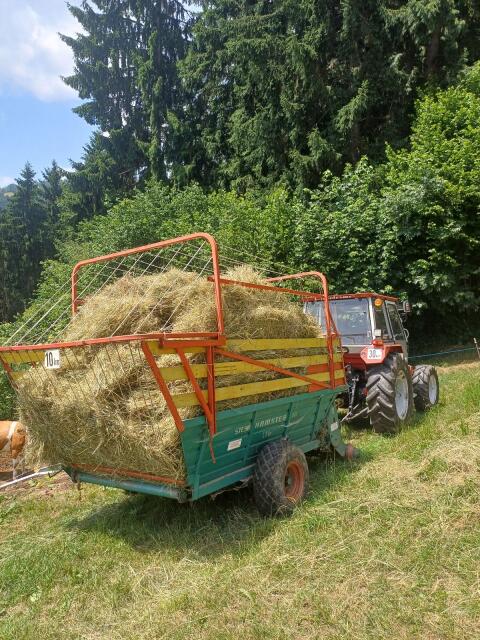 Steyr Hamster 801 Ladewagen