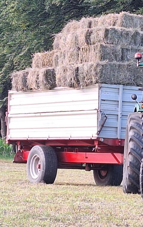 Biete Mais, Getreide-Transporthilfe für Heuballen, Holz