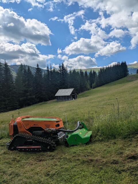 Mulcharbeiten, Fräsarbeiten