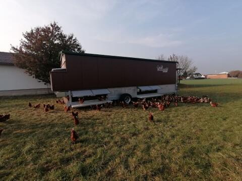 Mobiler Hühnerstall