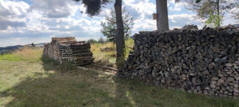 Brennholz