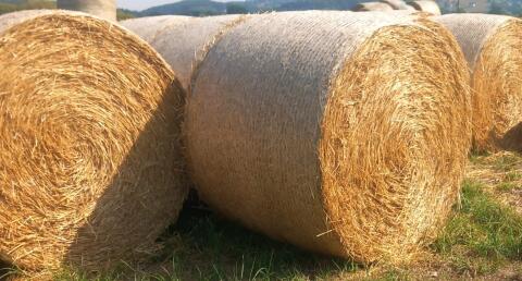 Stroh-Rundballen