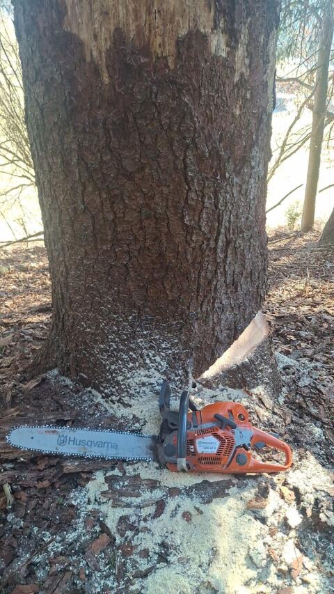 Husqvarna 560 XPG