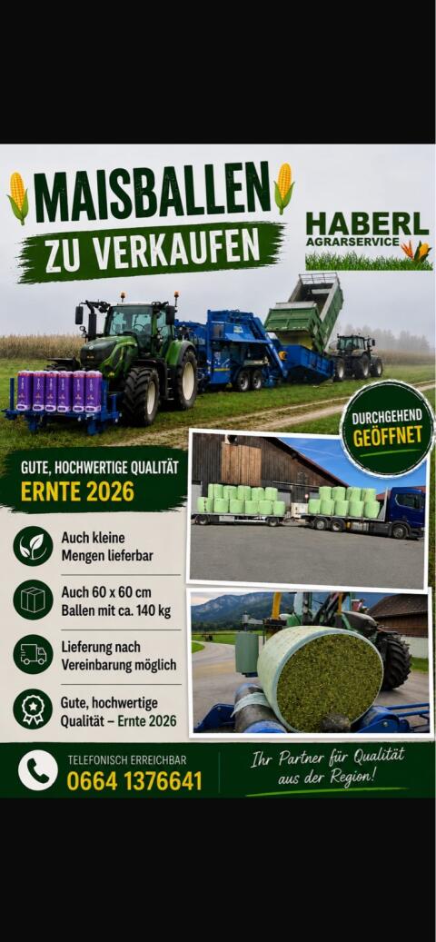Maissilageballen