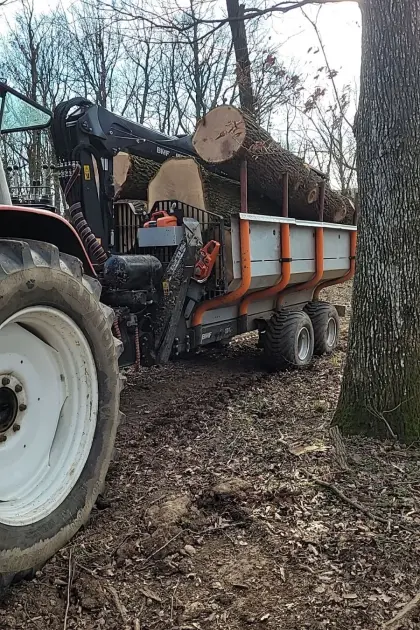 BMF 10T2 Rückewagen mit 850 Kran