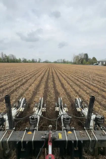 Striptill, Strip-till, Streifenbearbeitung Mais, Soja, Raps