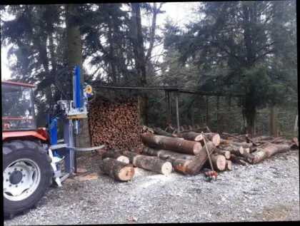 Brennholz zu verkaufen