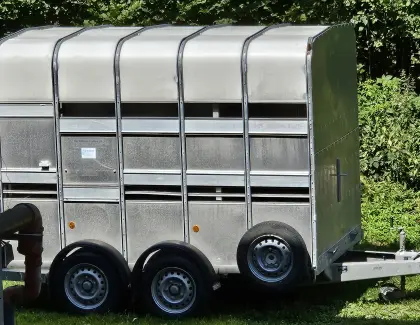 Ifor Williams Trailers Viehanhänger
