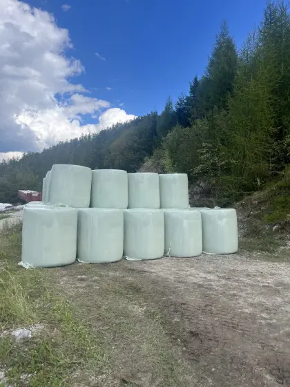 Maisballen