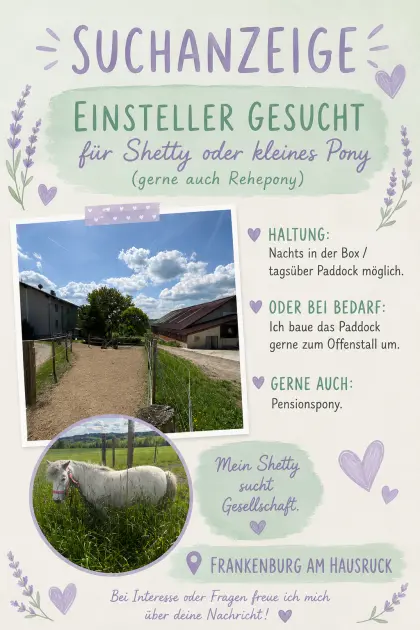 Einstellplätze für Shettys oder 1 kleines Pony