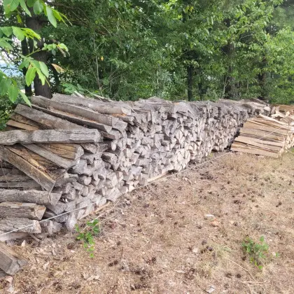 Brennholz hart