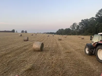 Bio-Heu, Bio-Heurundballen, Bio-Pferdeheu