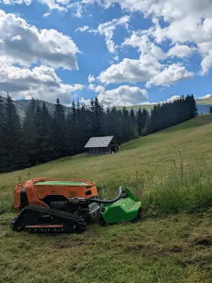 Mulcharbeiten, Fräsarbeiten