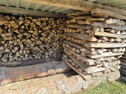 Buchenholz Brennholz