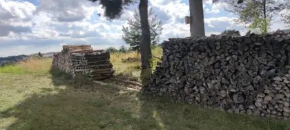 Brennholz